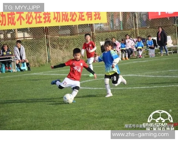 足球按摩脚的独特魅力与健康益处探索之旅